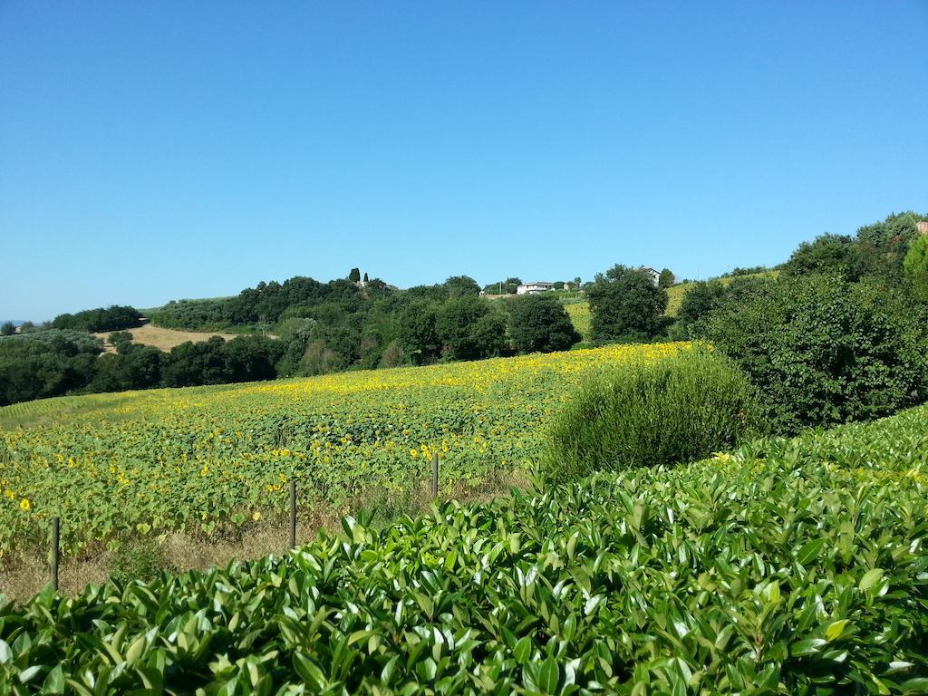 Il Borghetto Villa Todi Dış mekan fotoğraf